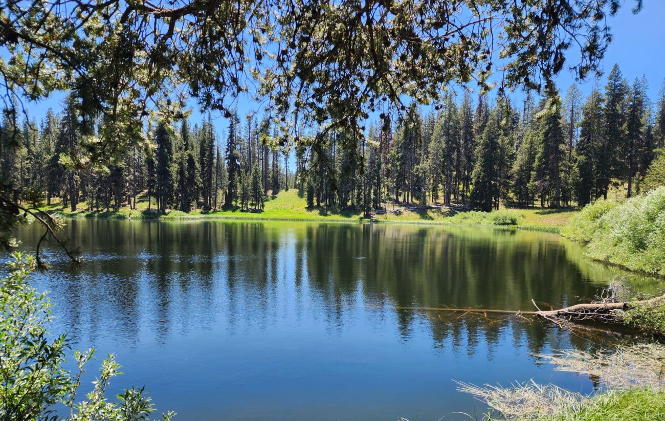 Little Medicine Lake. D. Burk.