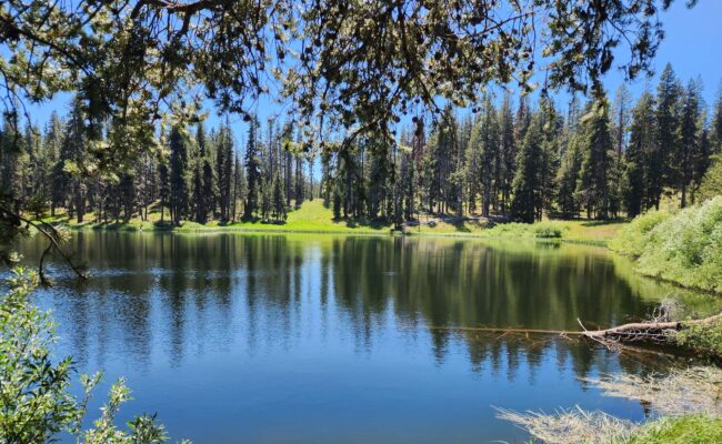 Little Medicine Lake. D. Burk.