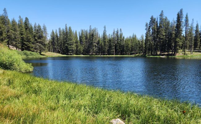 Little Medicine Lake. D. Burk.