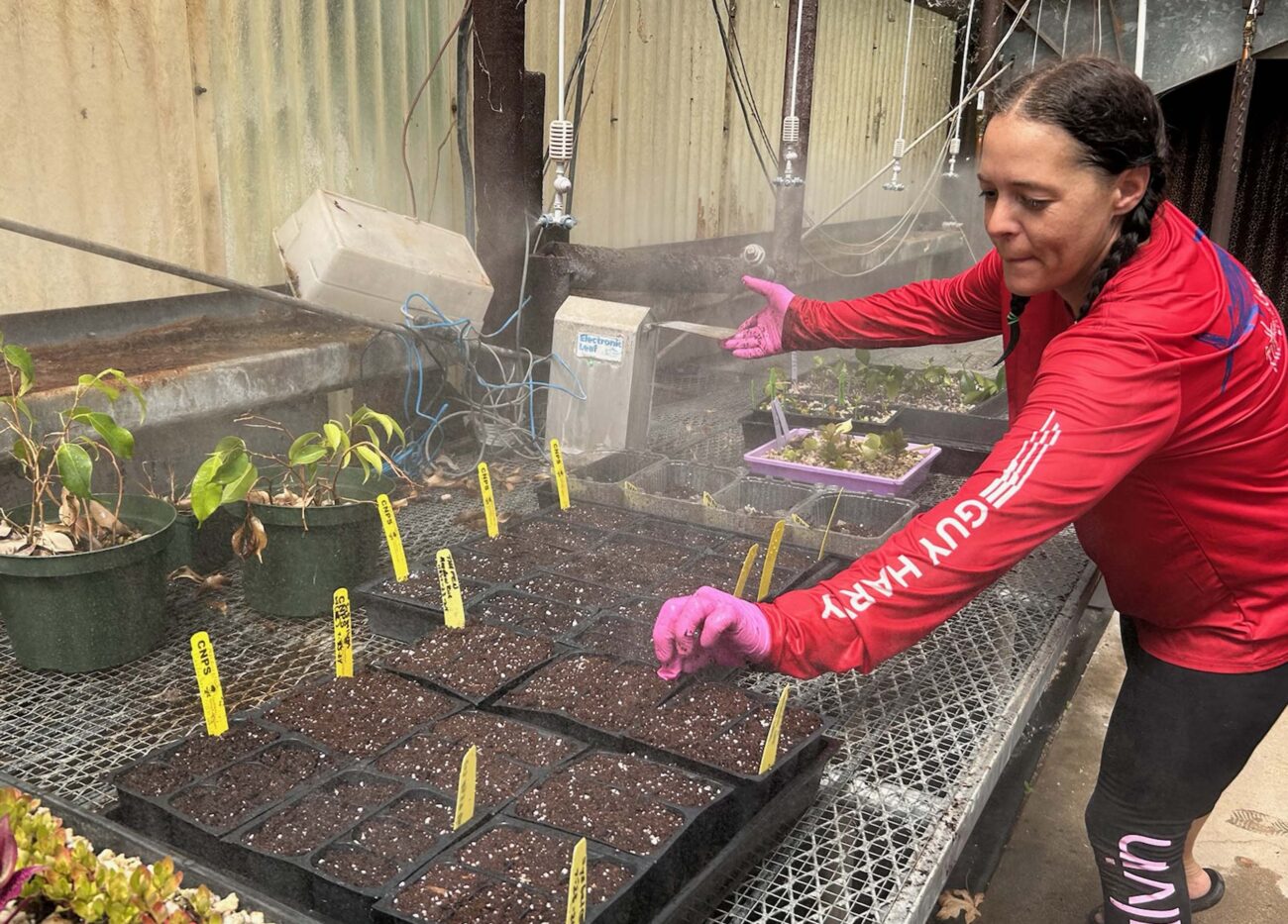 Nickey in the greenhouse. MA McCrary.