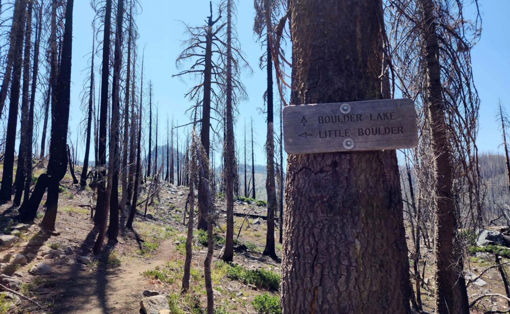 Trail junction and Tapie Peak. D. Burk.