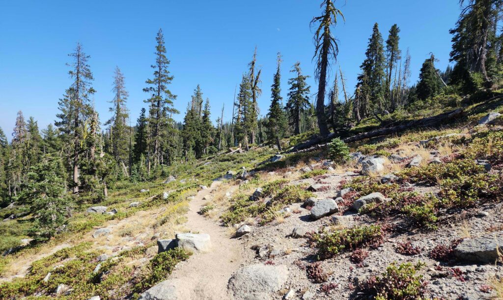 Green trail to Little Boulder Lake. D. Burk.