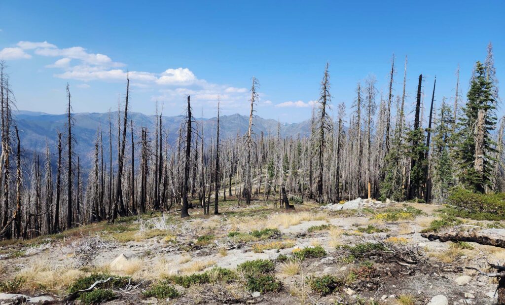 View northwest from trail. D. Burk.