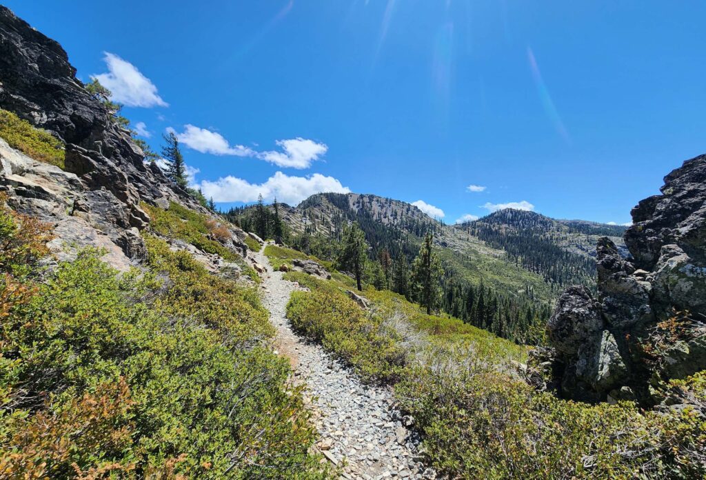 PCT along the rocky spine. D. Burk.