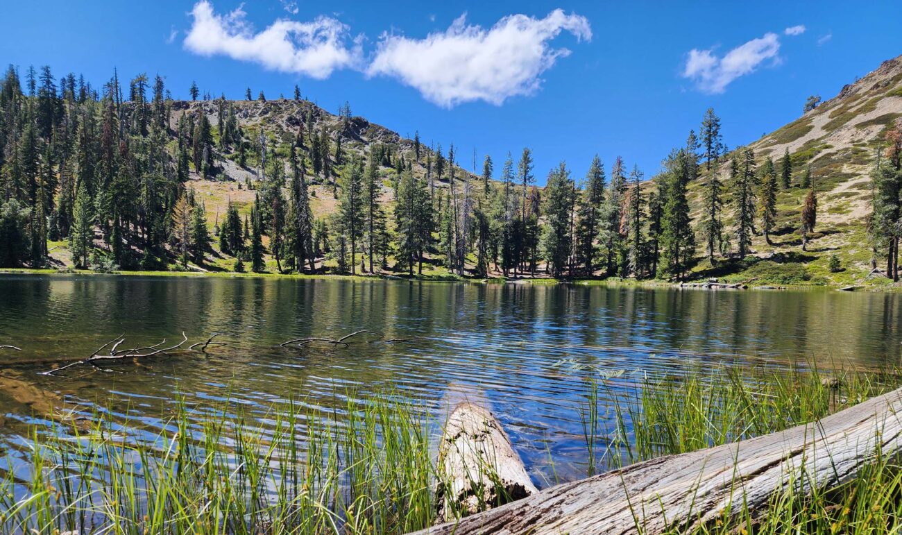 Lake Helen. D. Burk.