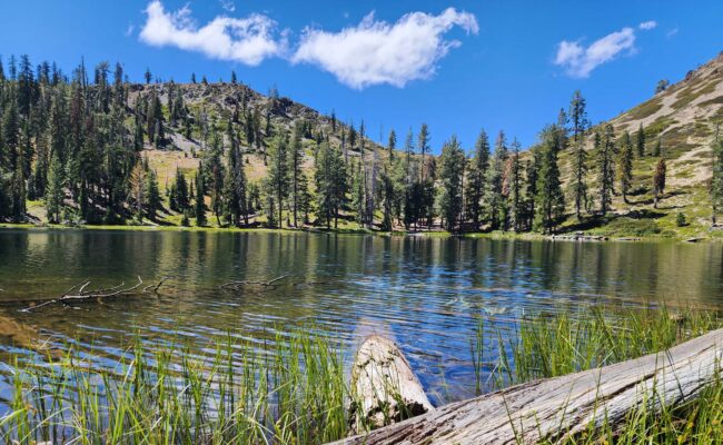 Lake Helen. D. Burk.