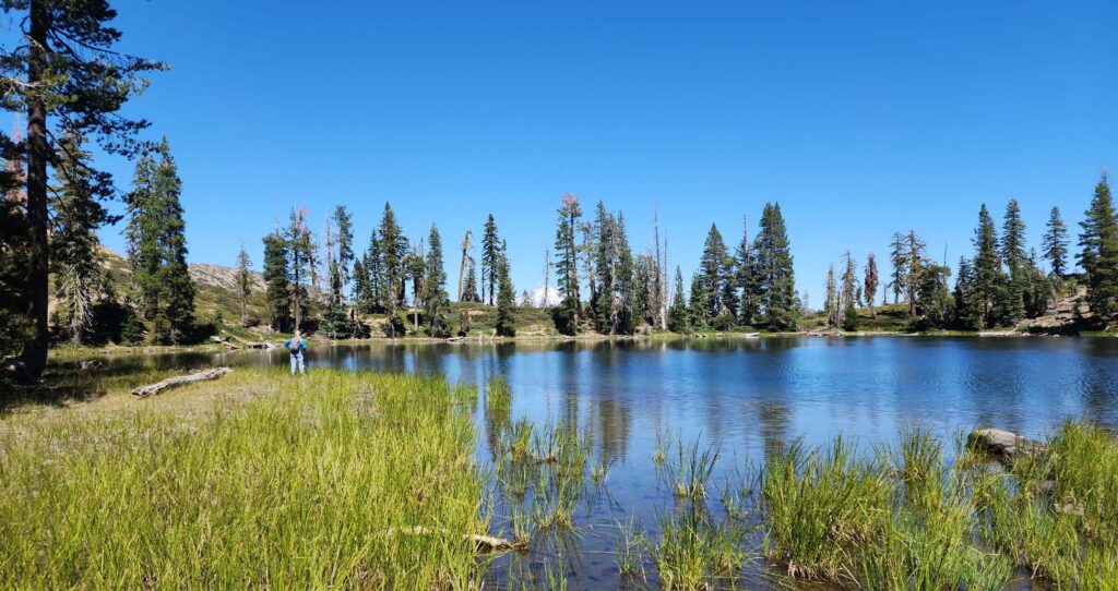 Lake Helen and Mt. Shasta. D. Burk.