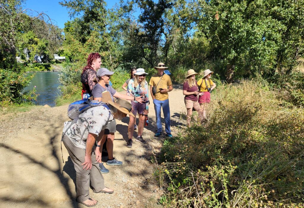 Field trippers discussing valley gumplant. D. Mandel.