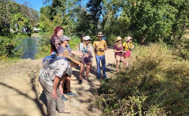 Field trippers discussing valley gumplant. D. Mandel.