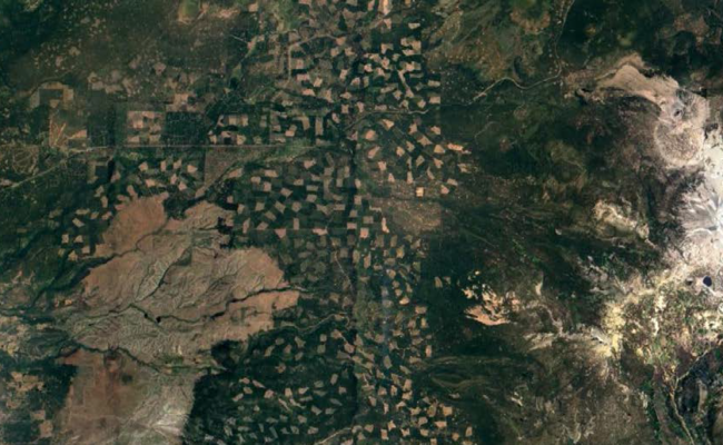 Clearcuts on Mt. Lassen. Google Earth.