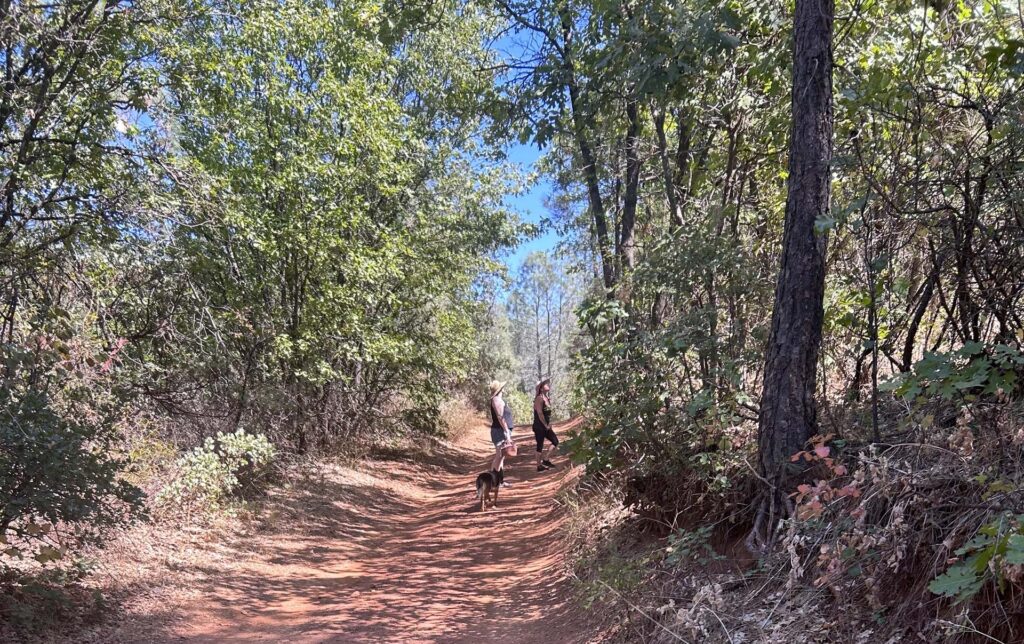 Jana & Nickey looking at oak trees. MA. McCrary.