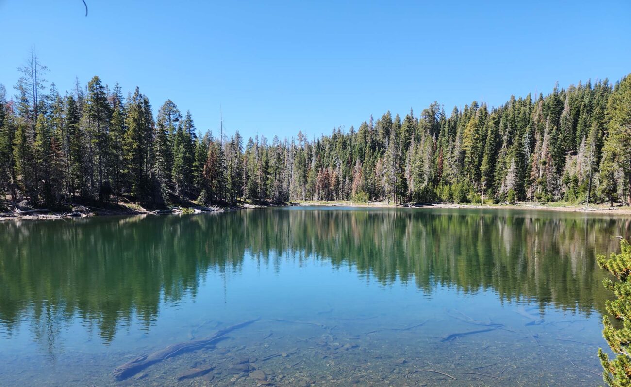 Eiler Lake. D. Burk.