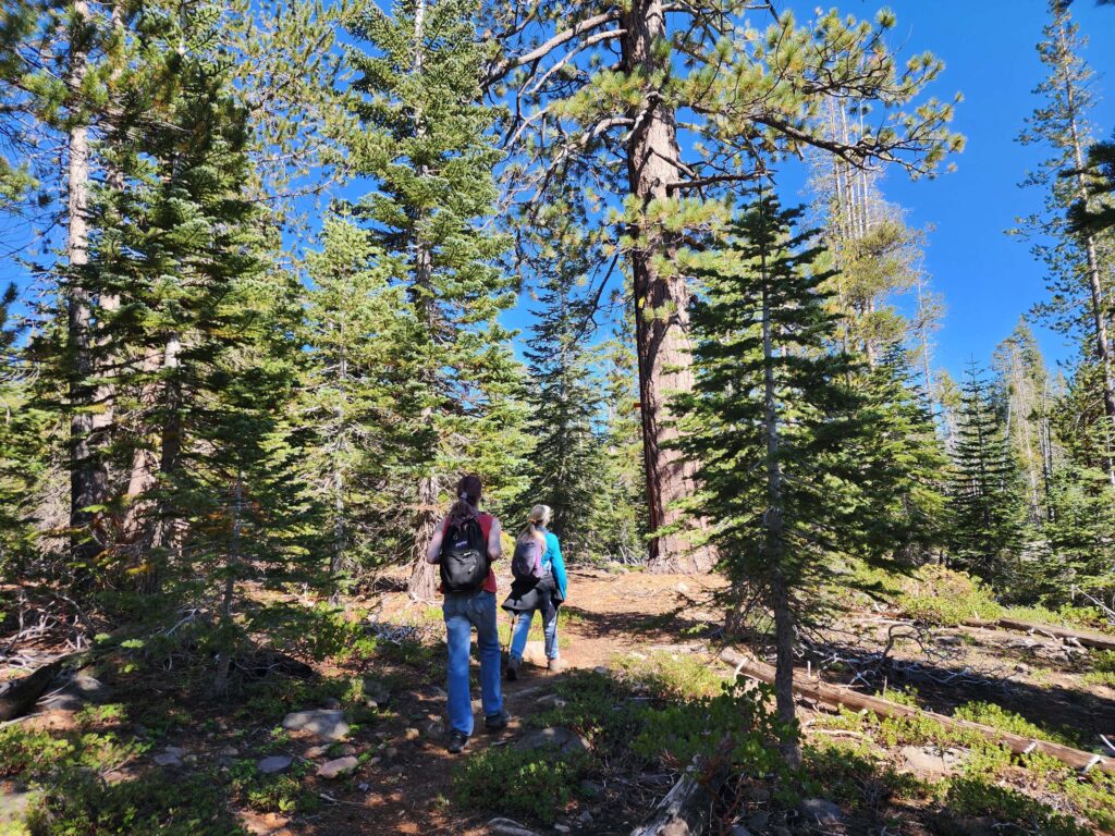 The loop trails adjacent to Eiler Lake, Thousand Lakes Wilderness. D. Burk.