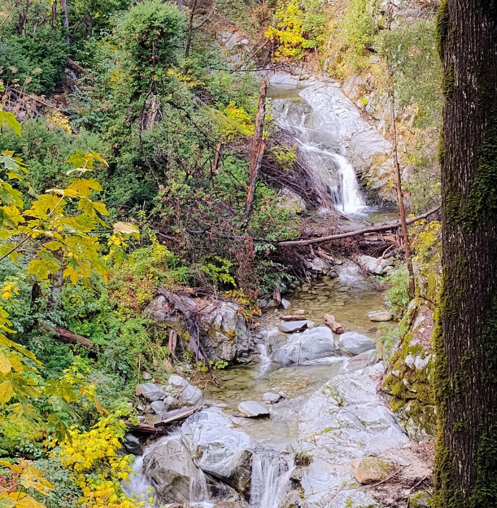 Falls on Brandy Creek. D. Ledger.