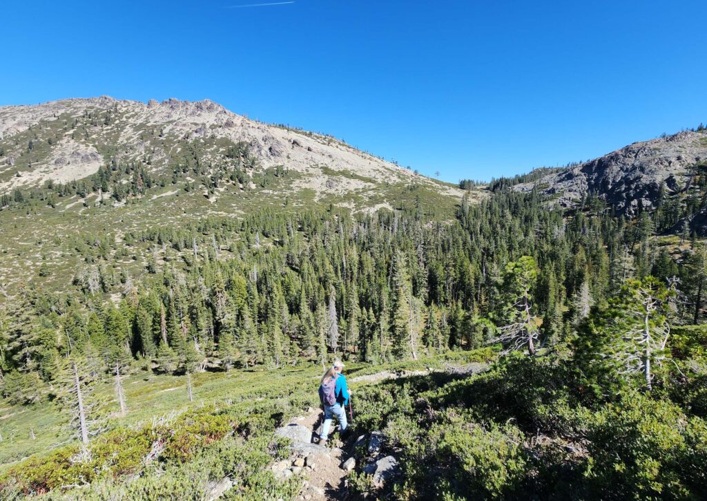 Trail to Timber Lake, Gray Rock Dome, and saddle. D. Burk.