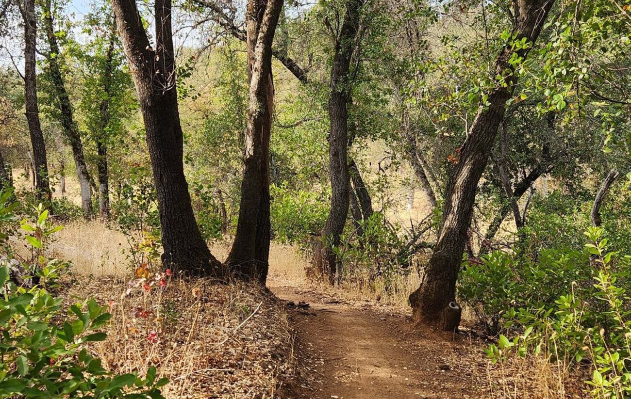 Canyon Hollow Trail leading to Sloppy Joe Trail. J. Malik.