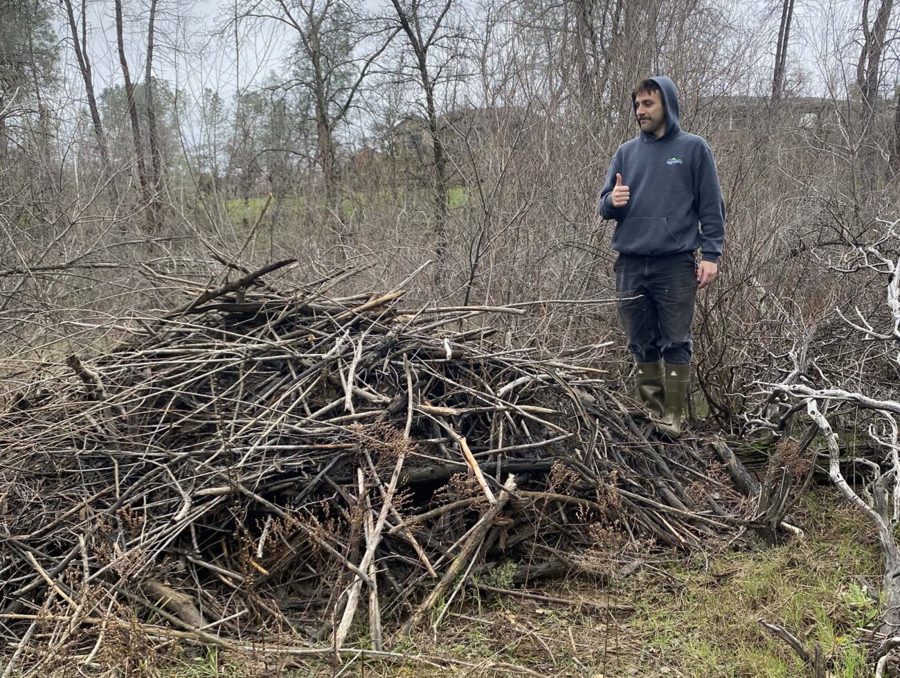 Ryan Morris and beaver lodge. J. Kelley.