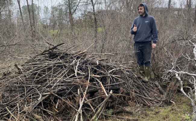 Ryan Morris and beaver lodge. J. Kelley.