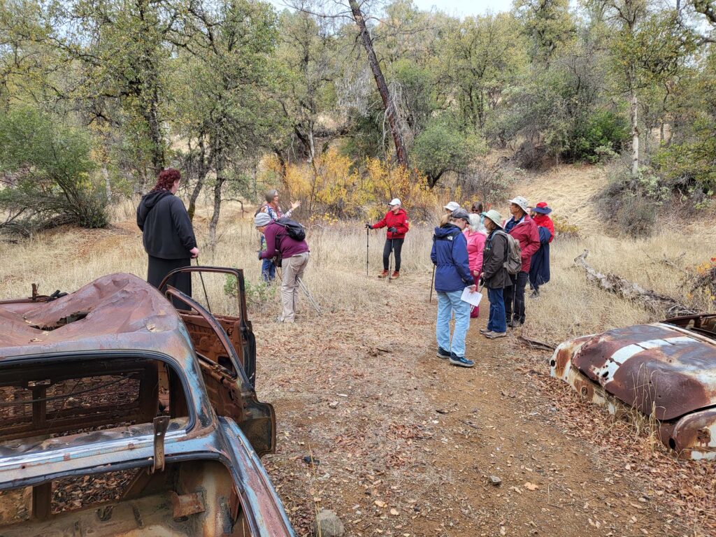 Junked 1950s cars. D. Mandel.