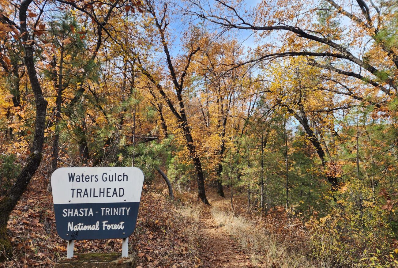 Upper Waters Gulch Trailhead. D. Burk.