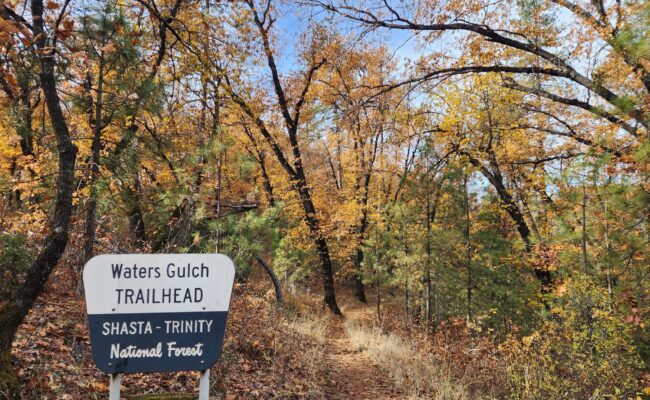 Upper Waters Gulch Trailhead. D. Burk.