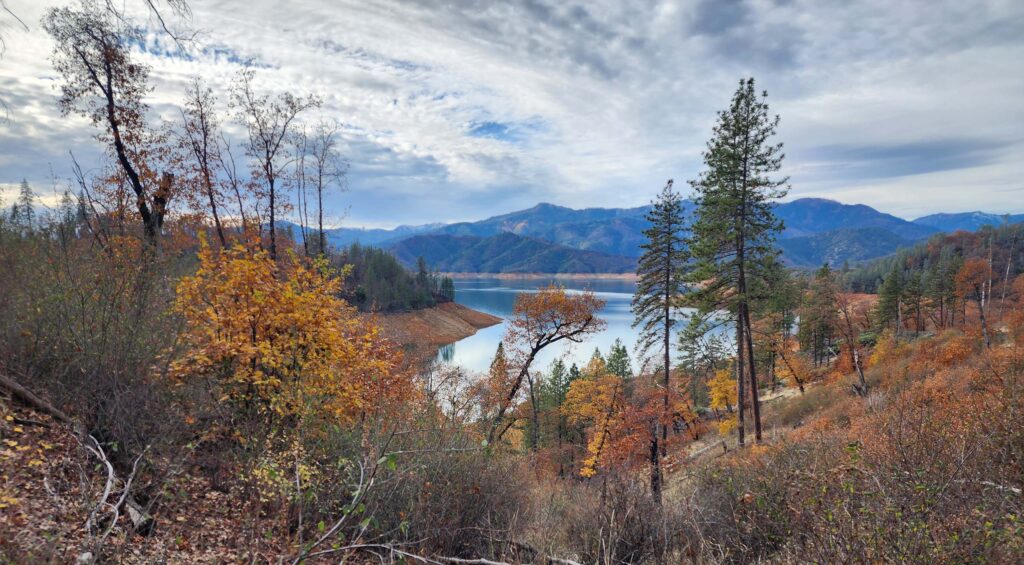 Lake Shasta. D. Burk.