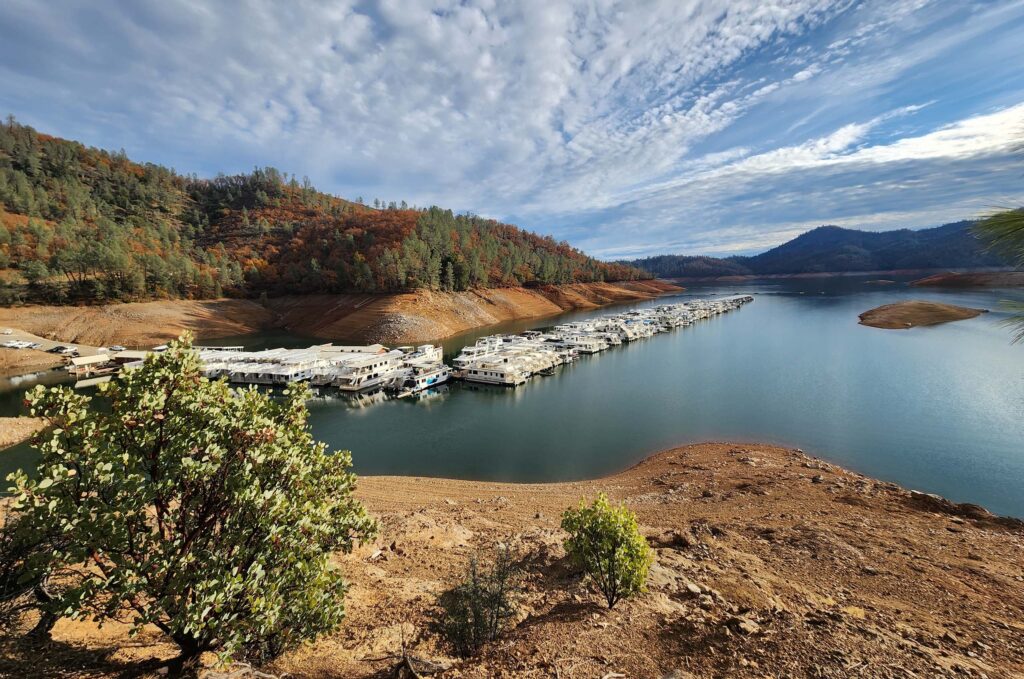 Packer's Bay Marina. D. Burk.