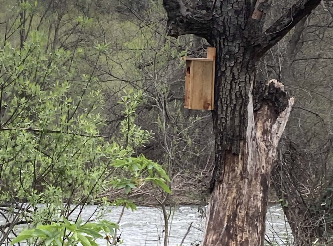 Wood duck house on HCCP. L. Ross.