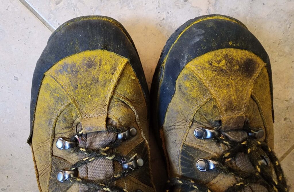 Pollen on boots. D. Burk.