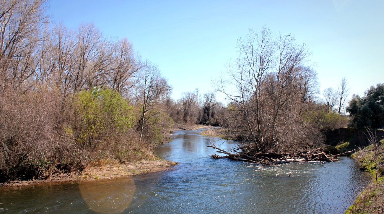 Battle Creek. Courtesy of River Partners.