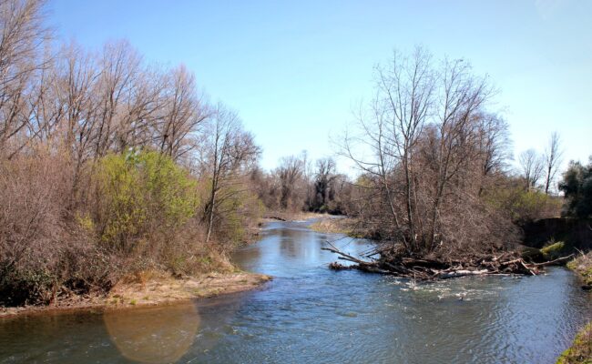 Battle Creek. Courtesy of River Partners.