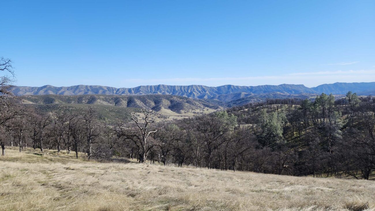 View of Cache Creek Natural Area from Cache Creek Ridge. D. Burk.