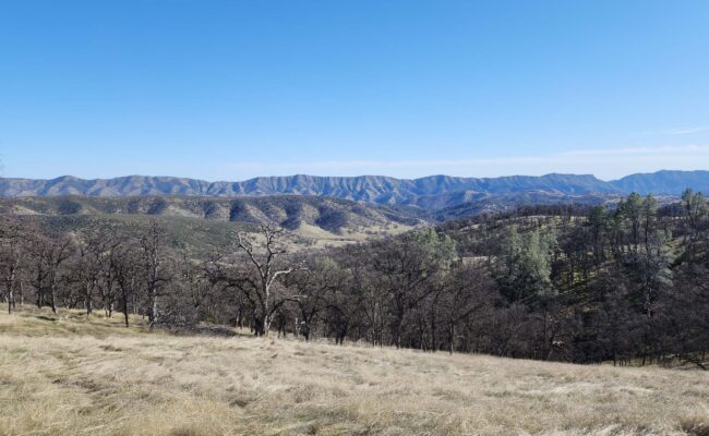 View of Cache Creek Natural Area from Cache Creek Ridge. D. Burk.