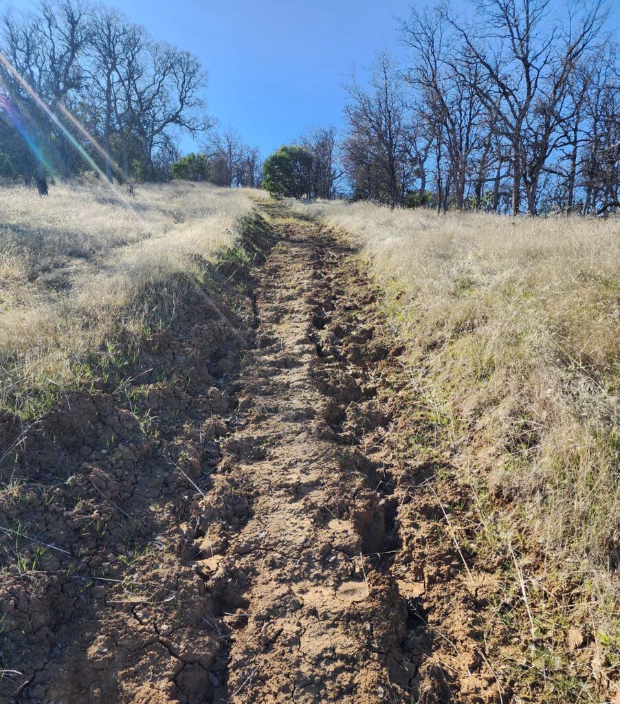 Rutted trail. D. Burk,