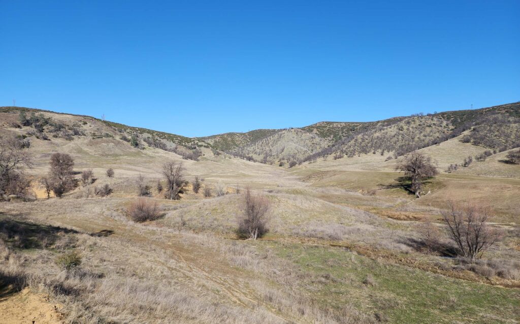 A valley in Cache Creek Natural Area. D. Burk.