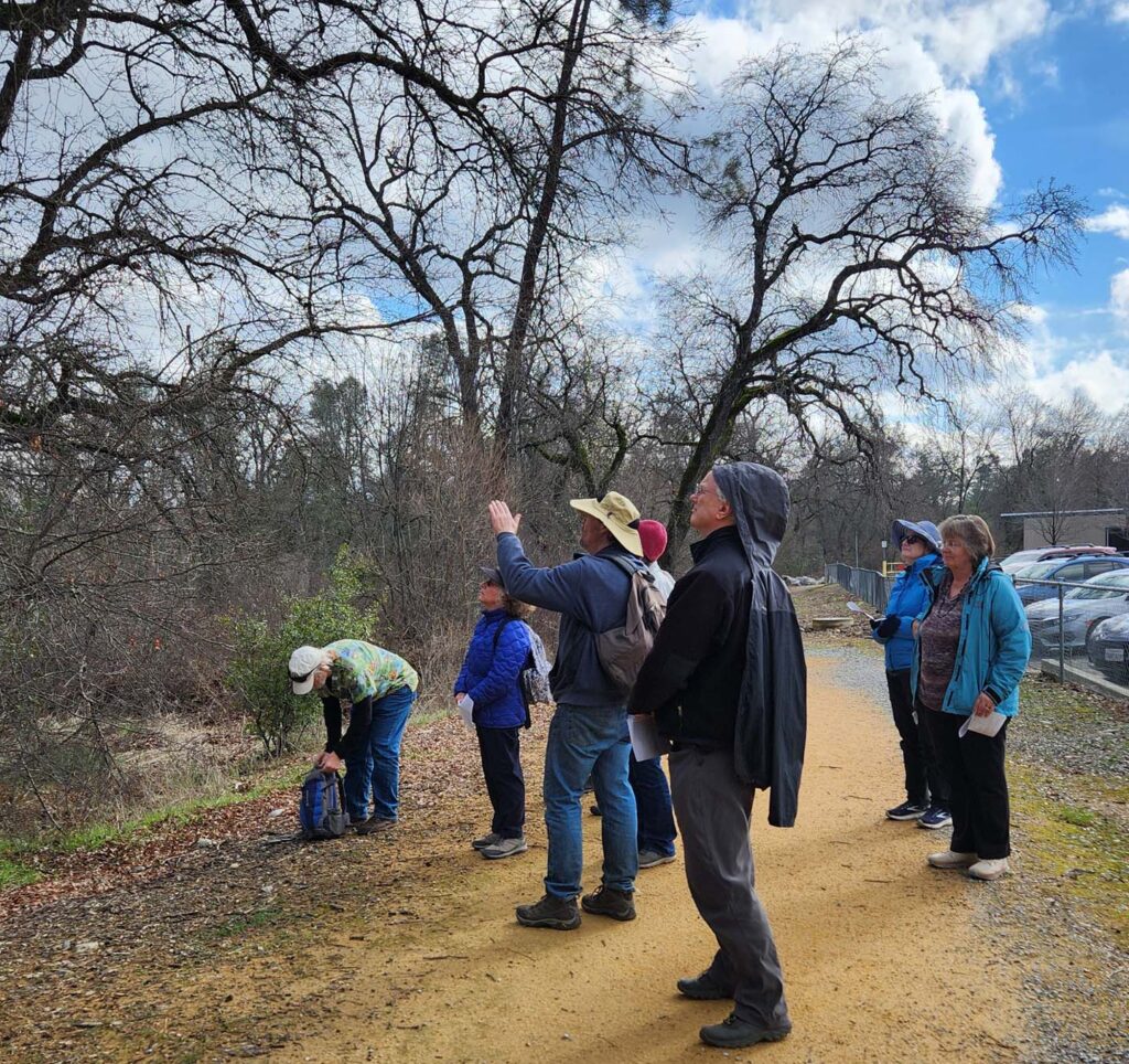 Dave Ledger discussing trees. J. Malik.