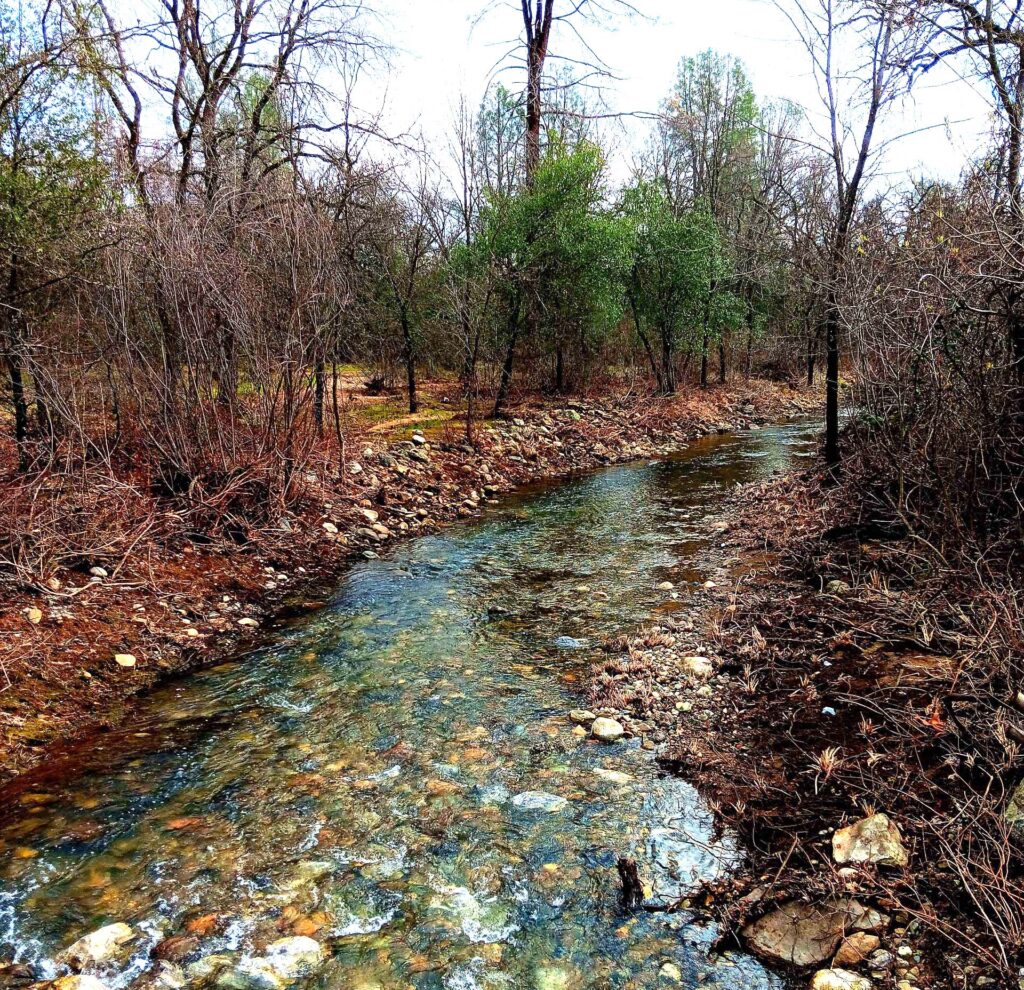 Boulder Creek. B. Robertson.