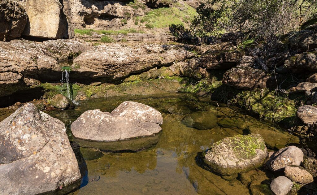 Turtle Creek waterfall. G. Lockett.