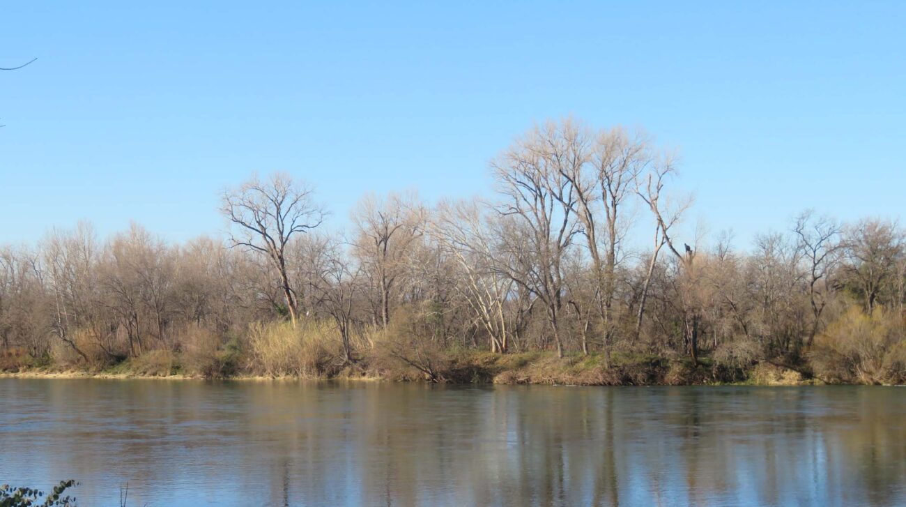 Sacto River boundary of Hawes Ranch. D. Ledger.