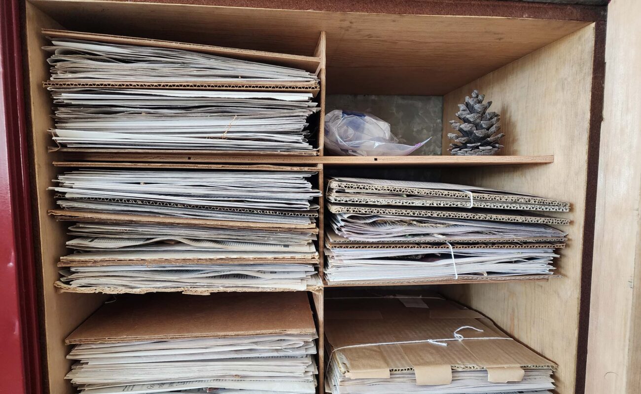Inside an herbarium cabinet. D. Burk.