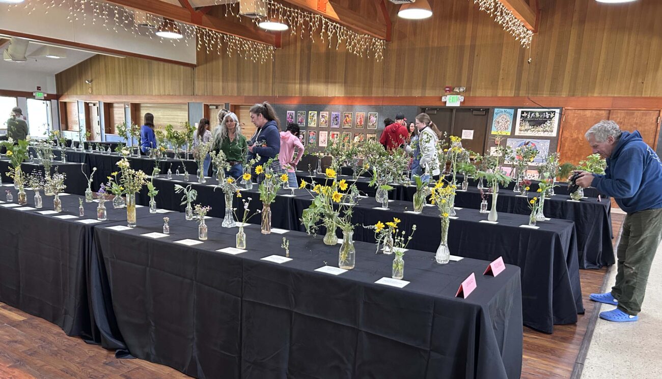 Mother's Day Wildflower Show. MA McCrary.
