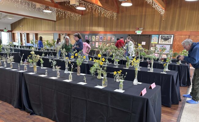 Mother's Day Wildflower Show. MA McCrary.