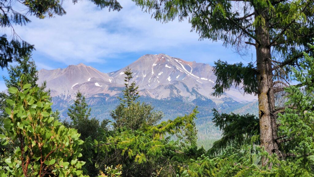 Mt. Shasta. J. Malik.