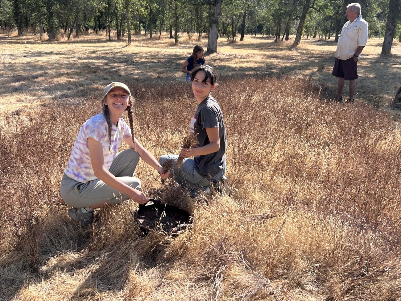 Heather Bortolussi and Gabriella Dominguez volunteer to help collect seeds from a grassy patch. Photo by M. McCrary