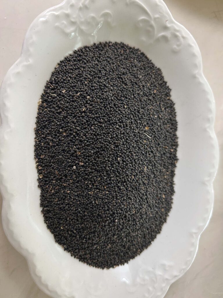 Small black seeds in a white bowl. Photo by M. McCrary.