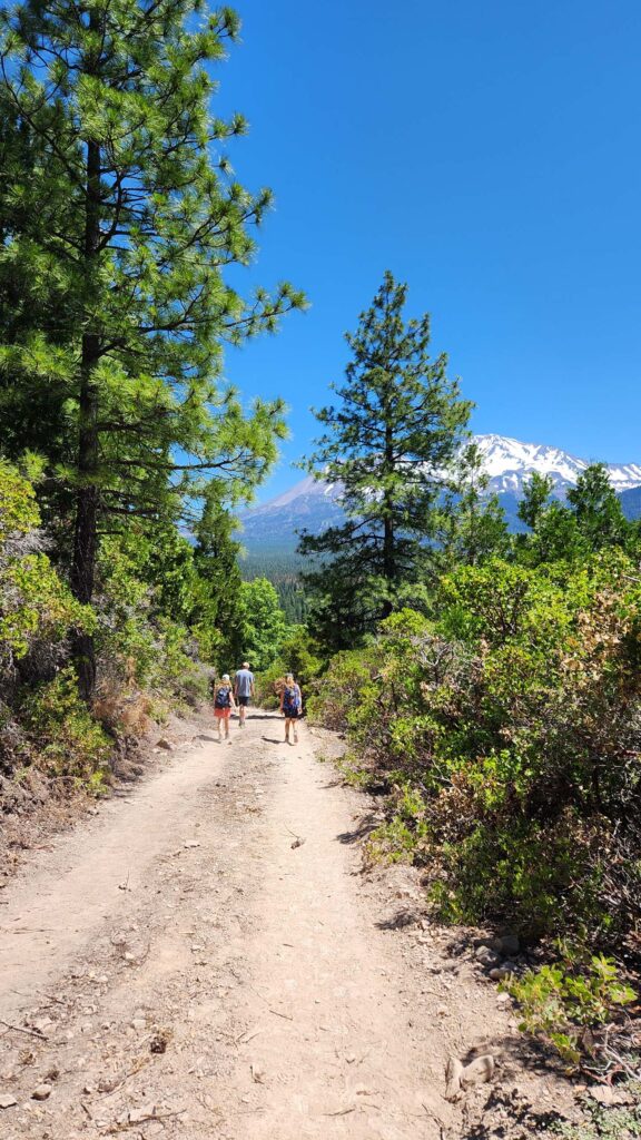 Spring Hill Trail, with views of Mt. Shasta and lots of greenery.  June 29, 2025.