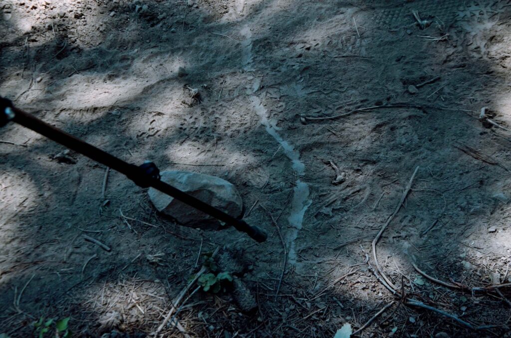 A snake trail in the dust across the Spring Hill trail. Photo by Holly White-Wolfe.
