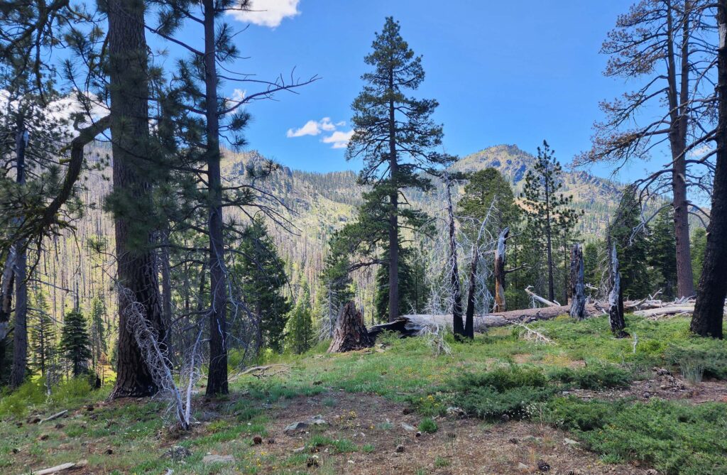 Black Rock Mountain. D. Burk.