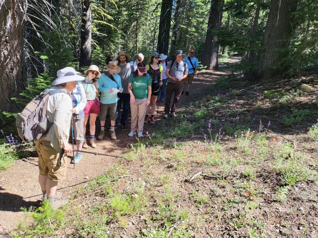 On the trail at Paradise Meadows
