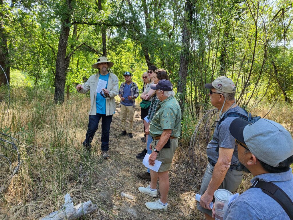 Pre-picnic field trip. D. Mandel.